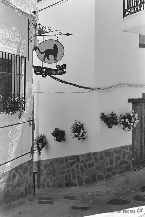 A black-and-white photo of a narrow street in Soportújar.