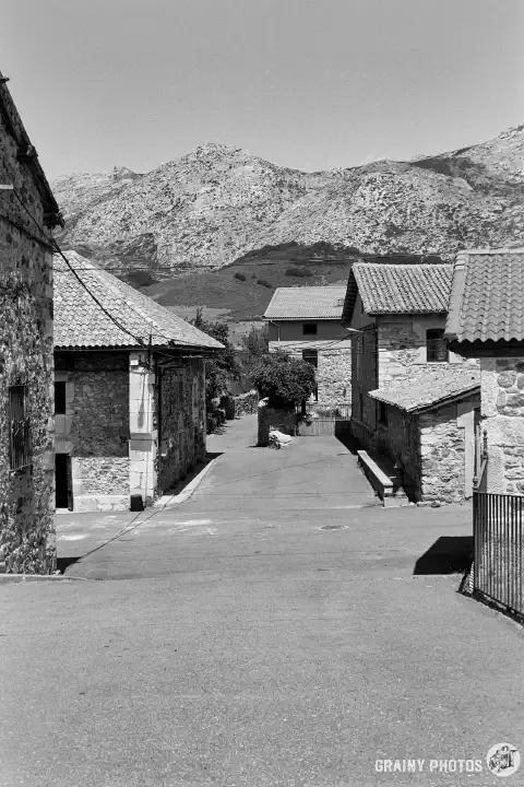 A black-and-white film photo of a street in Alba de los Cardaños