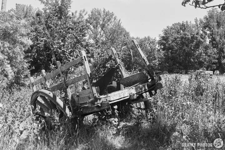 A black-and-white film photo of an abandoned cart in a field outside the village