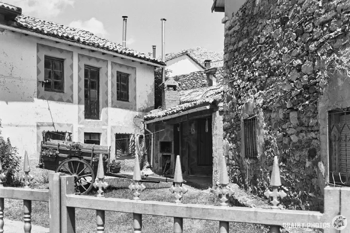 A black-and-white film photo of an old cart in a Courtyard garden in Alba de los Cardaños