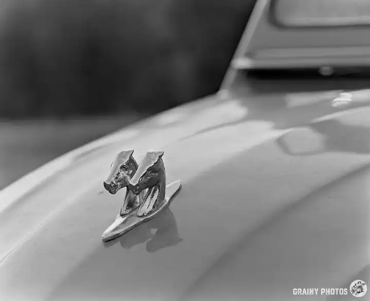A black-and-white film photo of the car front bonnet with a chrome two horse heads mascot