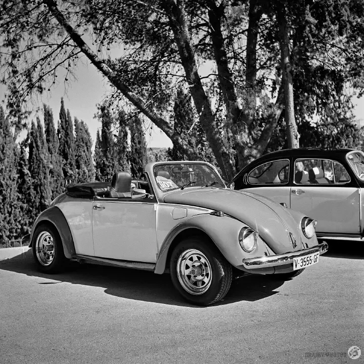 Black-and-white film photo of a BW Beetle convertible with a standard saloon model next to it.