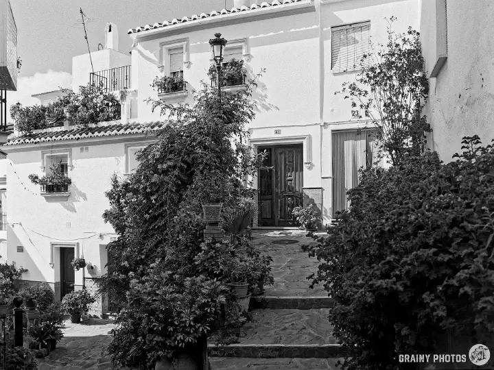 A black-and-white film photo of white houses with numerous potted plants