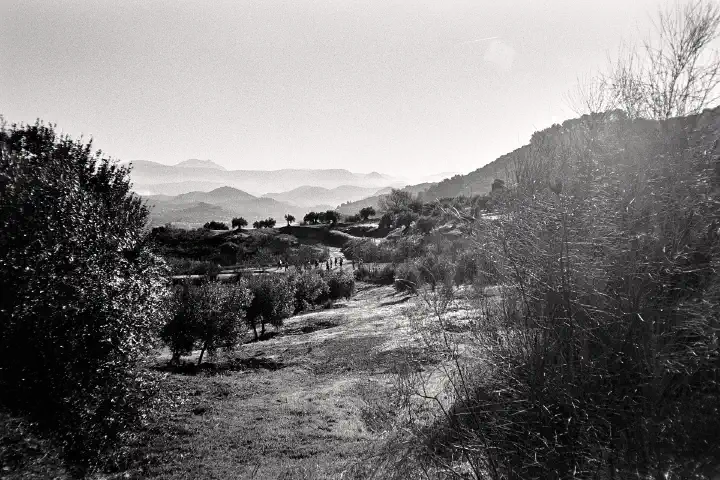 A black and white image of a serene landscape near Las Casillas de Martos, with rolling hills and distant mountains. Olive trees dot the landscape as the sun casts soft light over the scene.