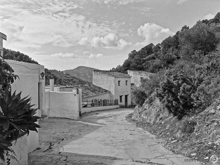 A black-and-white film photo of the main road through El Acebuchal