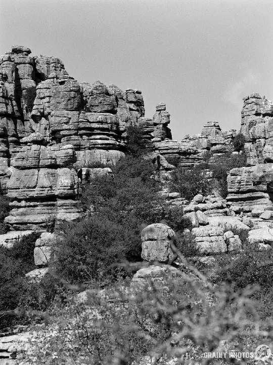 A black-and-white film photograph of Karst limestone rock formations in El Torcal