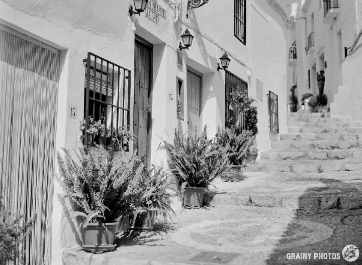 A black-and-white photo of terraced white houses by the side of a steep alley. There are several large pot plants in front of the houses. The patterned pebble alley changes to steps in the distance.