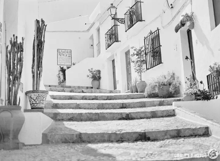 A black-and-white photo of a pebble-patterned street with white terraced houseson both sides with potted plants in front. The first two pots on the LHS contain cactus plants.