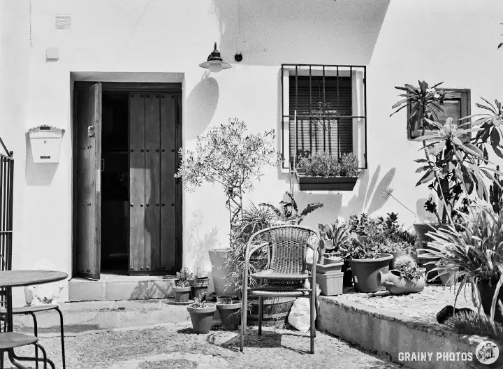 A black-and-white photo of a small courtyard with loads of large potted plants and two stacked chairs near an open front door.