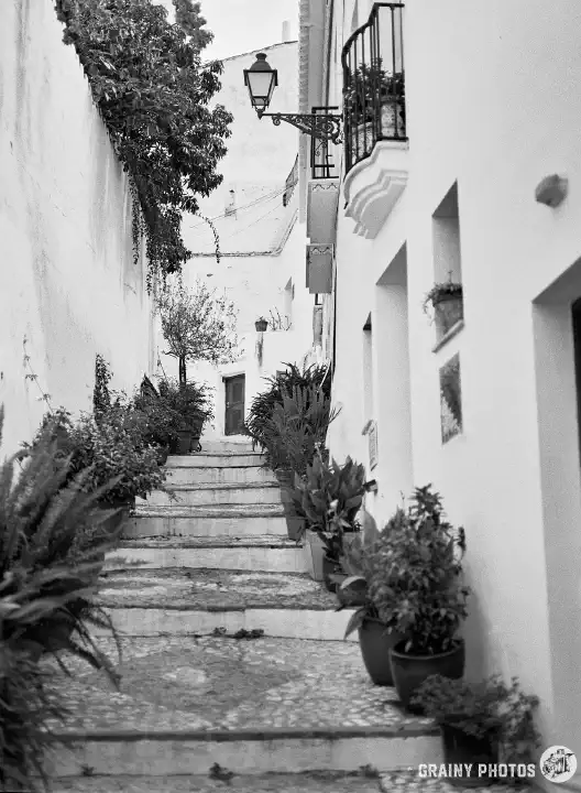 A black-and-white photo of a stepped ally. Potted plants on both sides with white houses on the RHS and a white wall on the left.