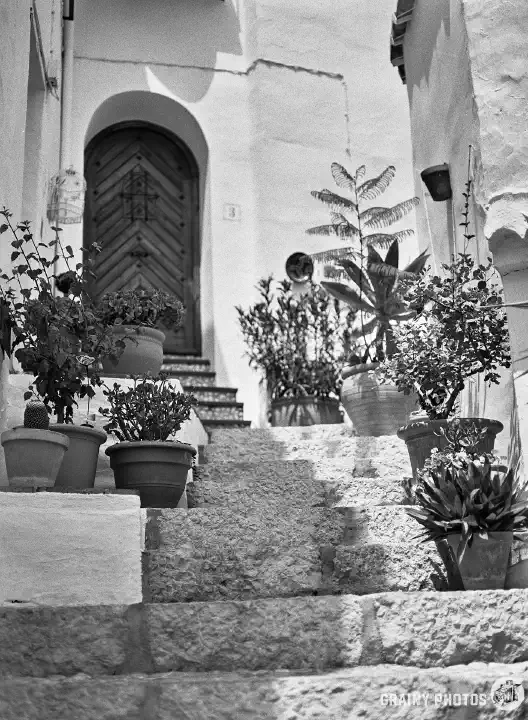 A black-and-white photo of steep stone steps leading up to an old wooden front door. Potted plants on both sides.