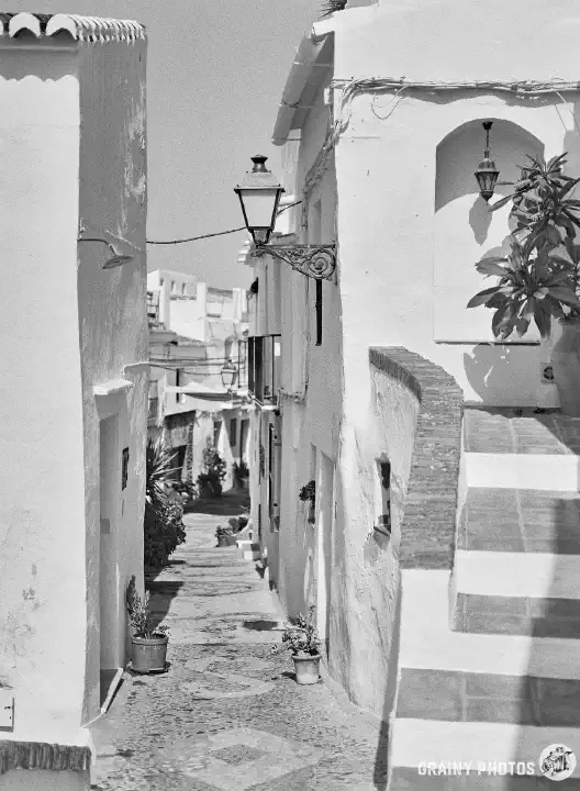 A black-and-white photo of a narrow alley with terraced white houses on both sides. There are several potted plants in the alley. A path leads to the front entrance of a house on the right.