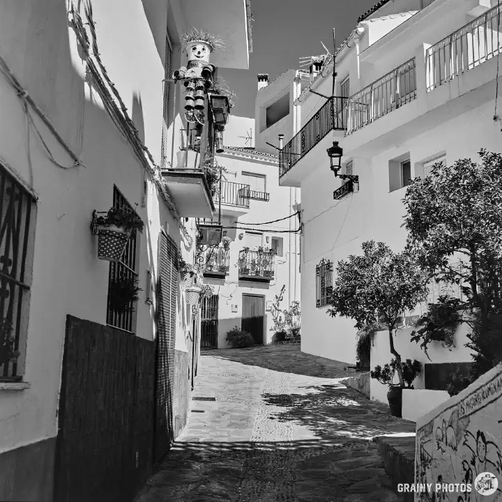 A black-and-white photo of a pretty, meandering, narrow, cobbled street with white townhouses. Small orange trees are growing on the right. There is painted artwork on a wall in the foreground (on RHS). On a balcony on the LHS, there is a character model made from flowerpots (think Bill and Ben, the flowerpot men).