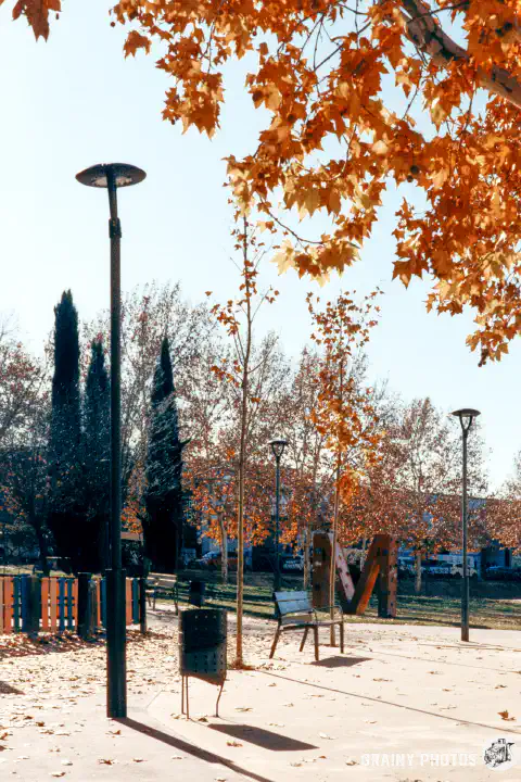 A colour film photo shot on Harman Phoenix 200 film. An open space in a park with benches, lamp posts and a children's play area. A branch with golden brown autumnal leaves overhangs the top right corner of the photo.