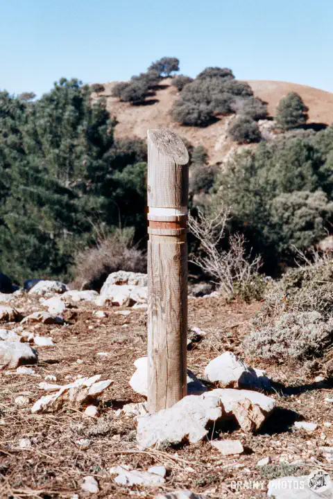 A colour film photo of a trail marker post with red and white id markings.