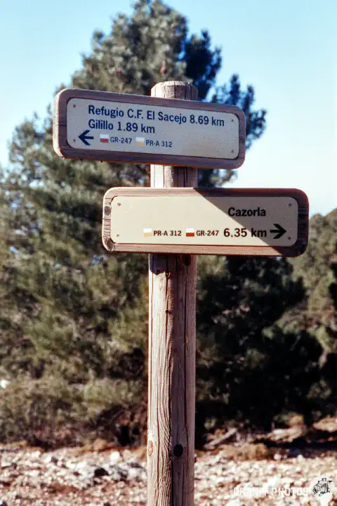 A colour film photo of a signpost by a trail.