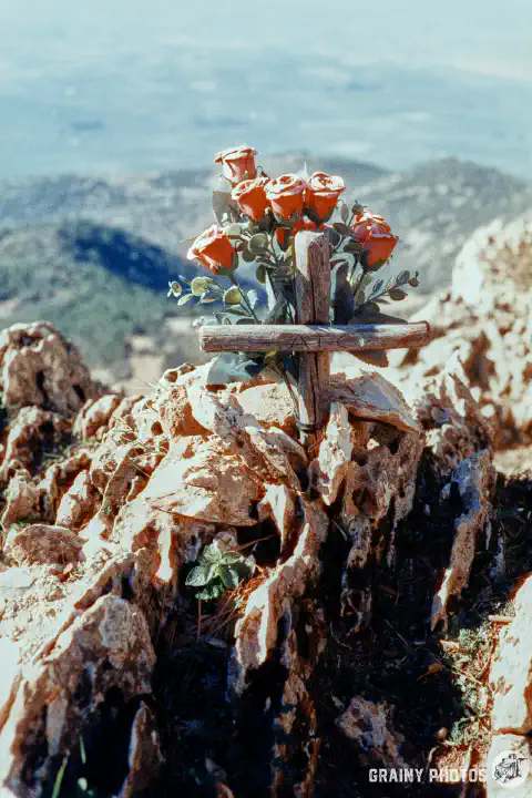 A colour film photo of a bunch of artificial red roses with a wooden cross wedged amongst the rocks on the edge of a cliff.