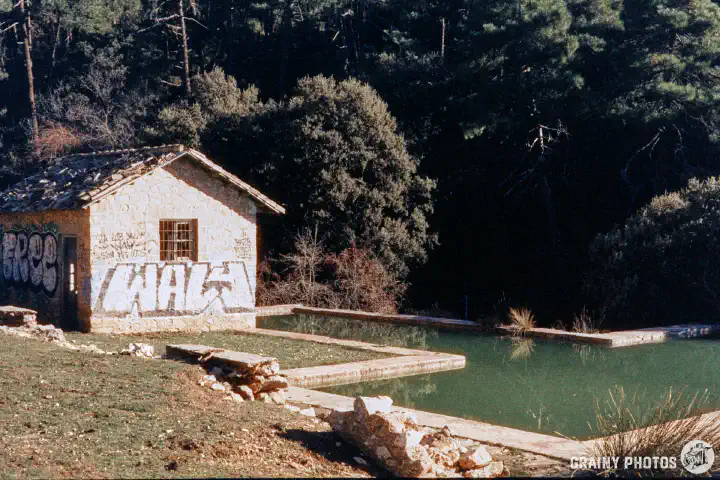 A colour film photo of an abandoned stone hut by a pool with a dense shady forest behind.