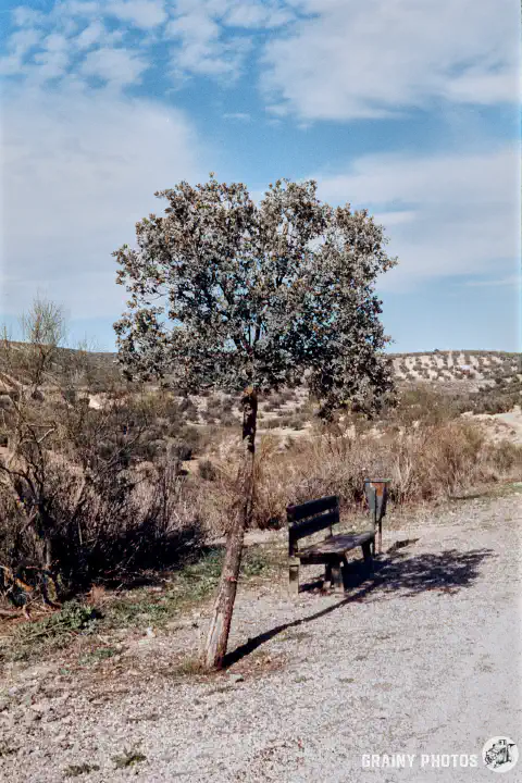 A colour film photo of a bench in the shade of a tree along the Via Verde