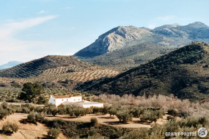 A colour film photo of a cortijo amongst the olive groves with mountains in the background