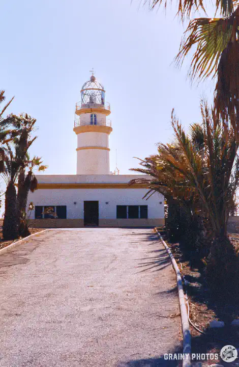 A colour film photo of a palm-lined asphalt road leading up to Sacratif Lighthouse
