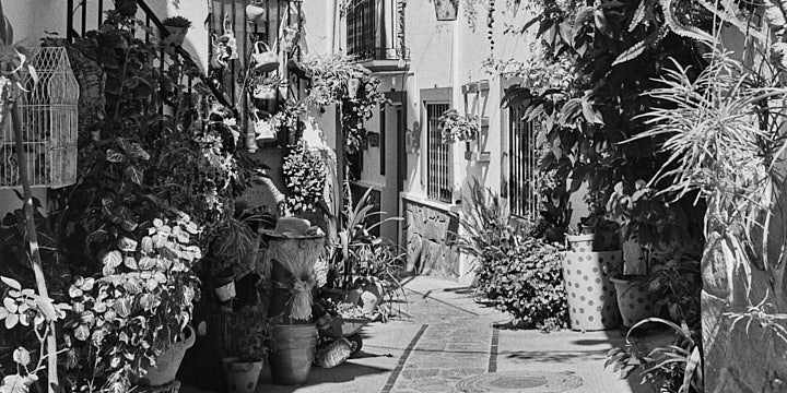 A black-and-white film photo of a still, a symbol of Jubrique