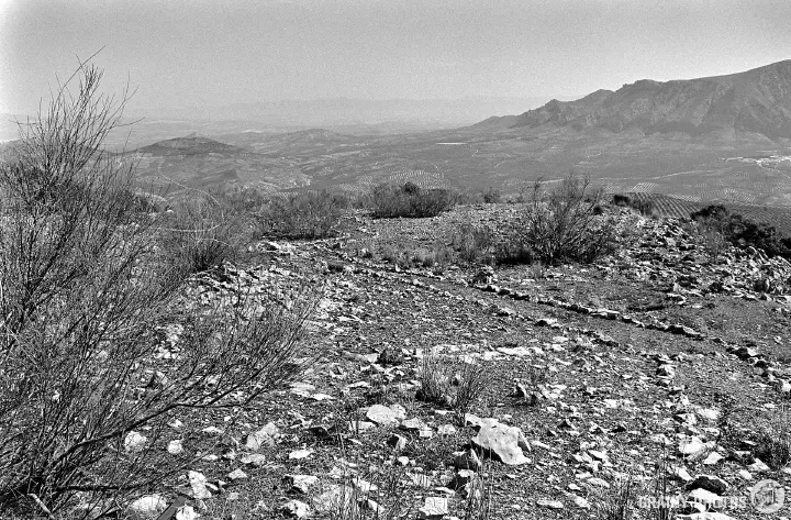 Black-and-white photo of the path leading to Los Caracoles.