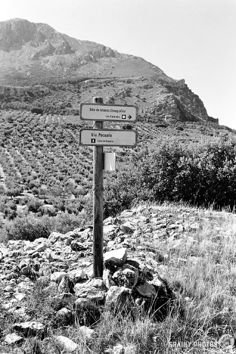 Black-and-white photo of a trail signpost by the footpath. Rocky ground in the foreground with olive groves in the distance..