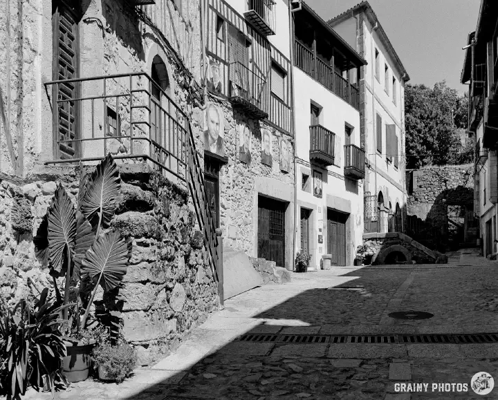 A black-and-white film photo of a cobbled side street with stone houses. There are portrait paintings on the houses on the left.