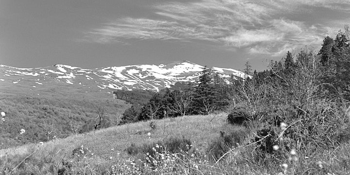 A black-and-white film photo of the view of snow-capped Sierra Nevada Mountains from the stroll above Soportújar.