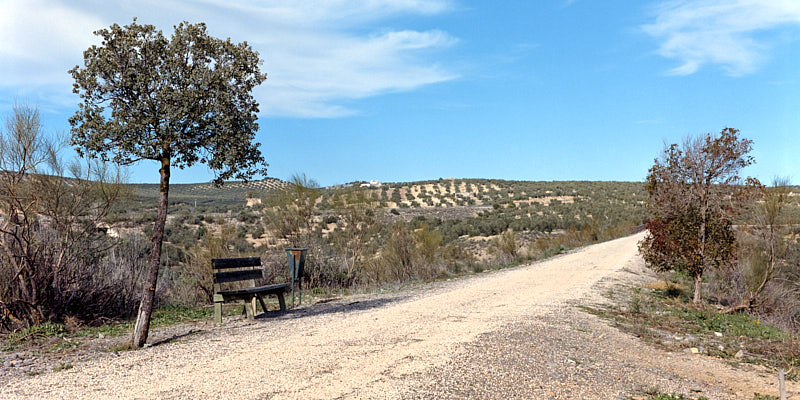 Colour photo of the Via Verde going into the distance. On the left is a bench under a tree.