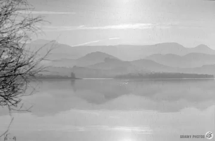 A black-and-white photo on Fomapan 200 of a misty morning by the lake. Again, this photo is ruined by black streaks I call 'black rain'