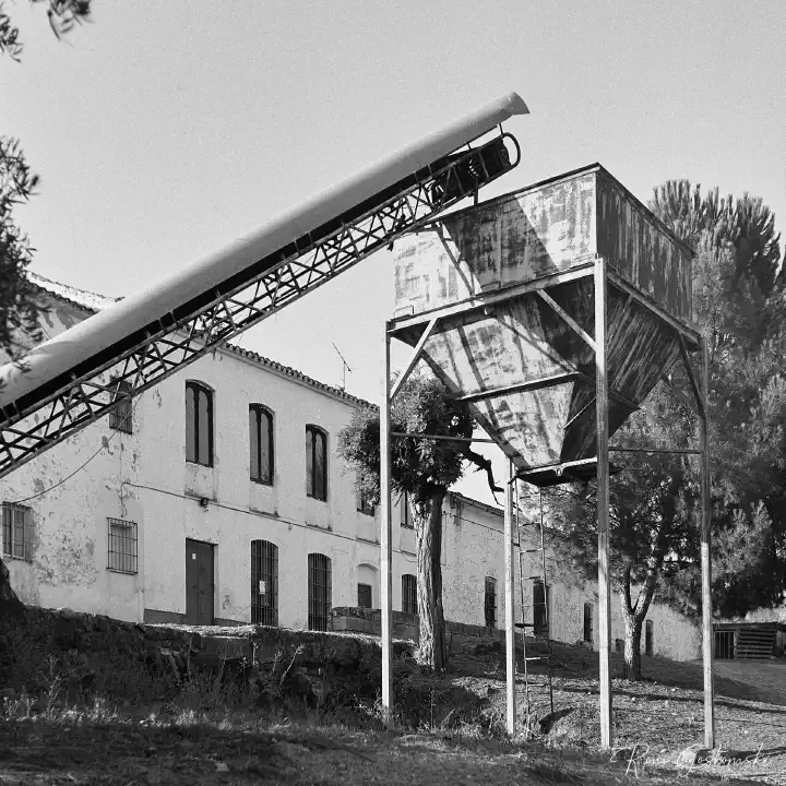 A black-and-white film photo of olive sorting machinery with the cortijo in the background comprising a conveyor belt leading up to a hopper.