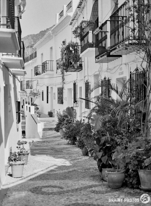 A quaint, narrow street lined with whitewashed buildings, featuring balconies adorned with plants. The cobblestone path is bordered by potted greenery, creating a charming and tranquil atmosphere.