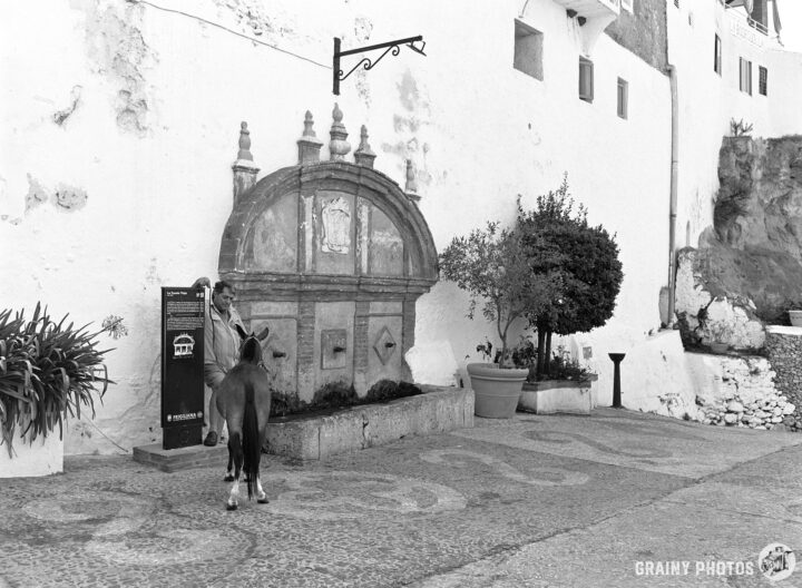 A person stands beside a fuente in Frigiliana, accompanied by a horse. The scene features whitewashed buildings, a small tree in a pot, and cobblestone streets, creating a charming and serene atmosphere.