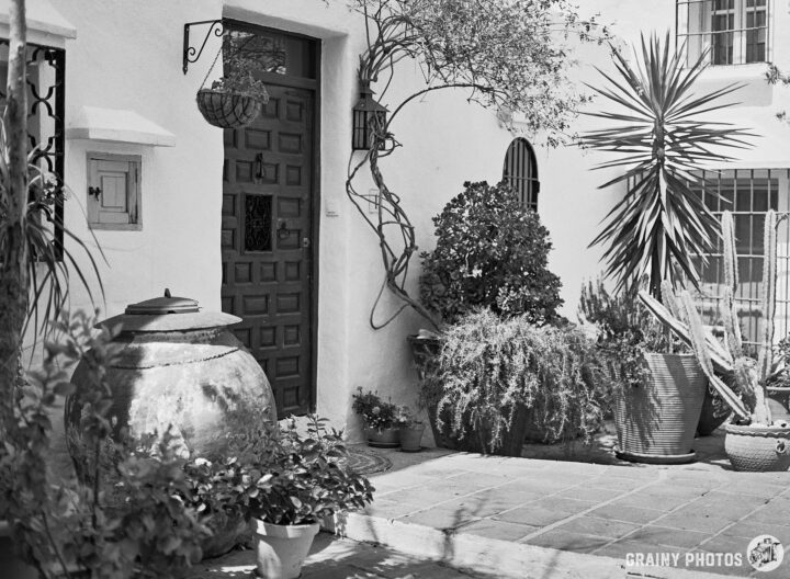 A charming courtyard featuring a textured door, lush green plants in various pots, and a large clay urn. The scene is framed by a white wall and natural light, creating a tranquil outdoor atmosphere.