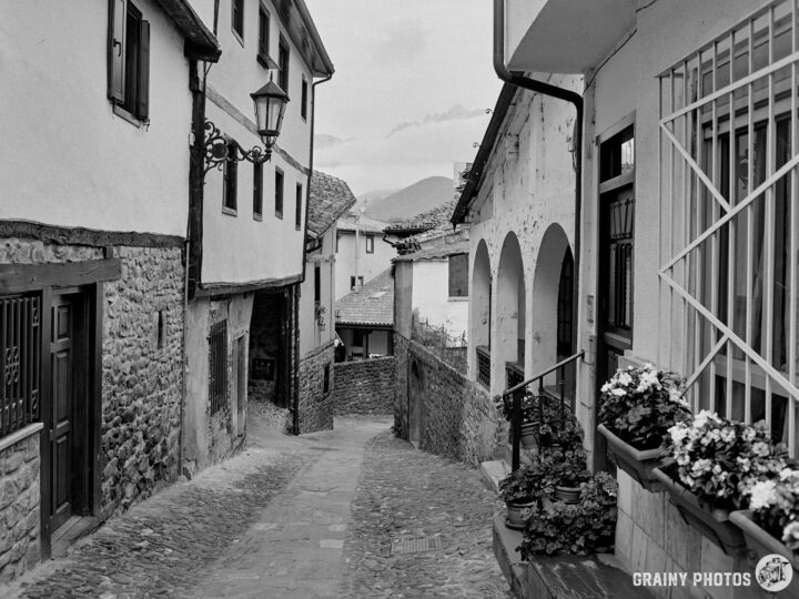 Narrow cobblestone street lined with rustic houses and flowerpots, featuring a lantern and archways. The scene captures a quaint, historic village ambiance in black and white.
