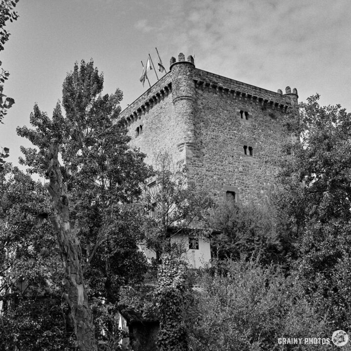 The Tower of the Infantado surrounded by lush trees and vegetation, showcasing architectural features and flags atop. The image is presented in black and white, emphasizing textures and details in the structure and surrounding nature.
