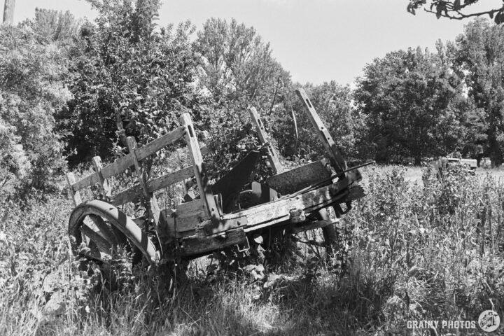 An old, weathered farming cart rests among tall grass and wild vegetation, surrounded by trees. The black and white image captures the rustic charm of abandoned agricultural machinery in nature.