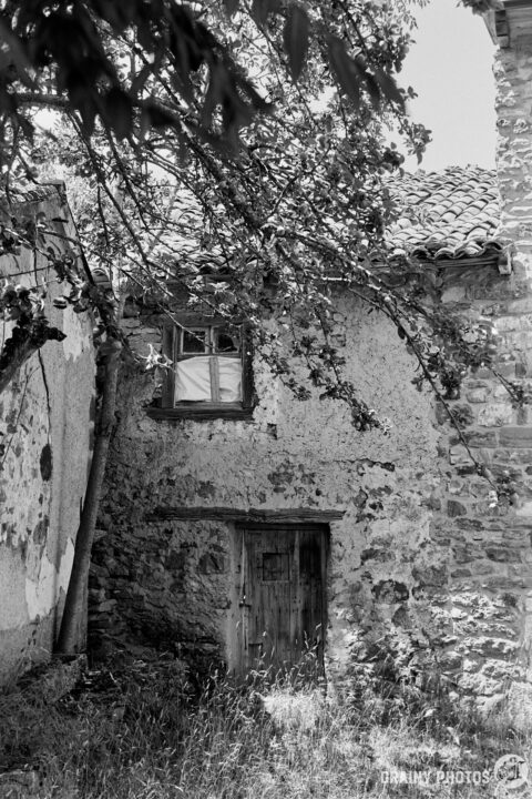 An abandoned house in the village with a wooden door stands beneath a leafy branch, showcasing a rural, vintage aesthetic. An old window above adds character to this charming, rustic scene, captured in black and white.