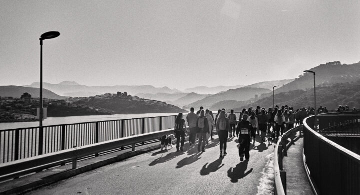 A group of people walking across the dam with dogs, surrounded by a scenic view of mountains and The Viboras reservoir, captured in black and white. The sunlight creates a soft, atmospheric effect, emphasizing the peaceful outdoor setting.
