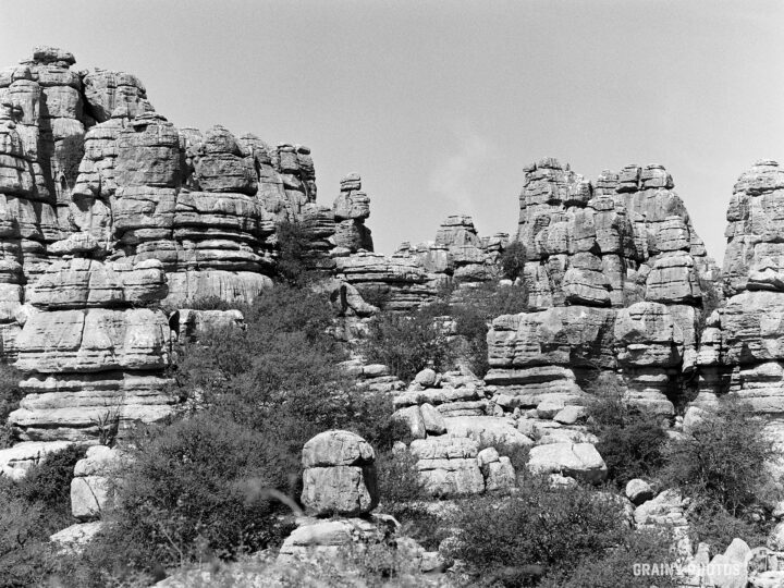 A monochrome image of rugged karst rock formations in El Torcal surrounded by sparse vegetation, showcasing a natural landscape with prominent towering stones and a dramatic texture. The scene captures the unique geological features of the area.