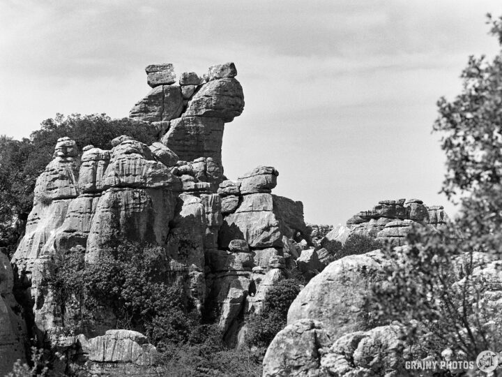 A dramatic rock formation towers amidst greenery, featuring unusual shapes and shadows, set against a clear sky. The black and white photography highlights the textures and contours of the stone.