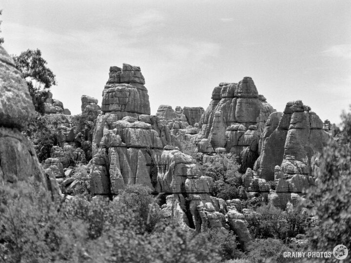 A black-and-white landscape featuring towering rock formations amidst lush greenery, showcasing a rugged terrain and dramatic natural textures under a clear sky.