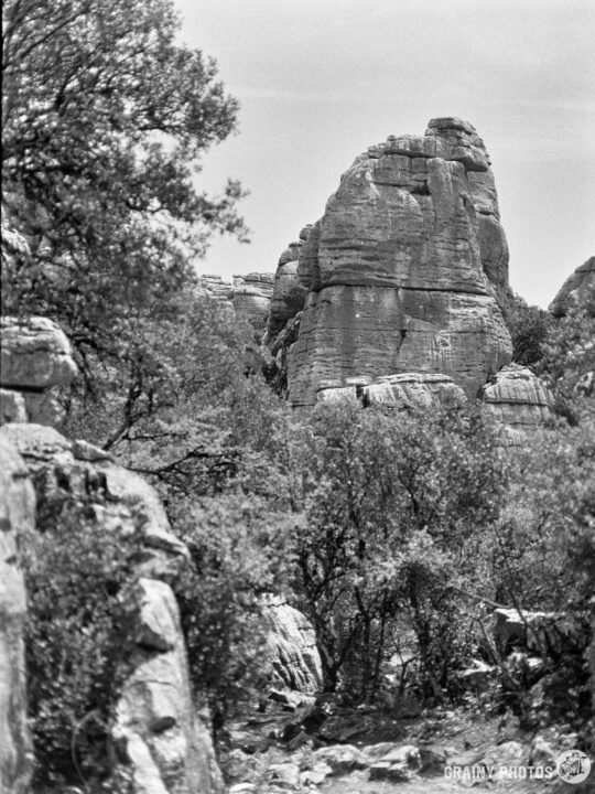 A large rock formation rises prominently among dense greenery, with layered textures visible on the surface. The scene captures a natural landscape under a clear sky, showcasing the rugged beauty of the terrain.