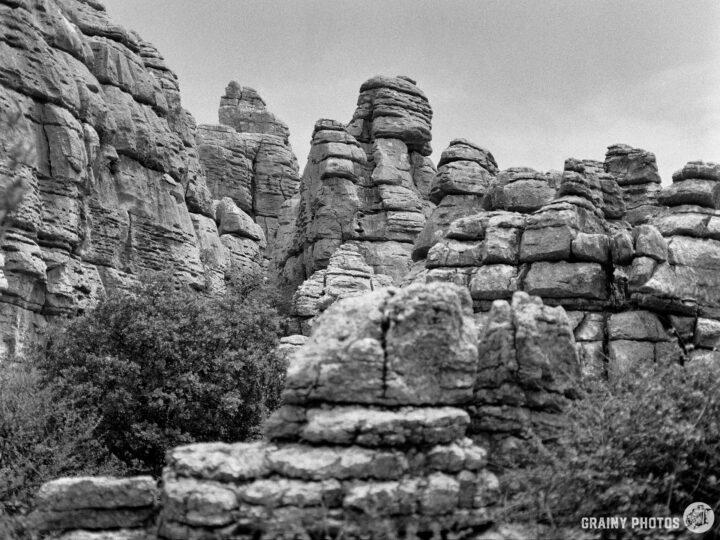 A rugged landscape featuring towering rock formations and scattered greenery, captured in monochrome, showcasing the intricate textures of the stones against a cloudy sky.