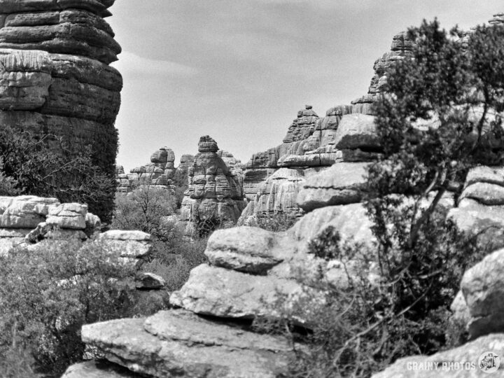 A panoramic view of unique rock formations and natural landscapes, featuring towering stone pillars and shrubbery against a cloudy sky, captured in black and white to emphasize textures and contrasts of the terrain.