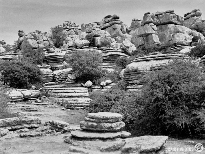 A black and white landscape featuring layered rock formations and natural shrubbery, highlighting the unique geological patterns and textures of a rugged terrain.