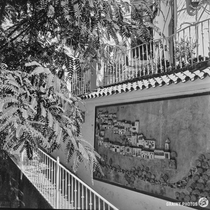 A black and white image featuring a staircase surrounded by lush foliage, leading to a wall adorned with a mural depicting buildings and a landscape.