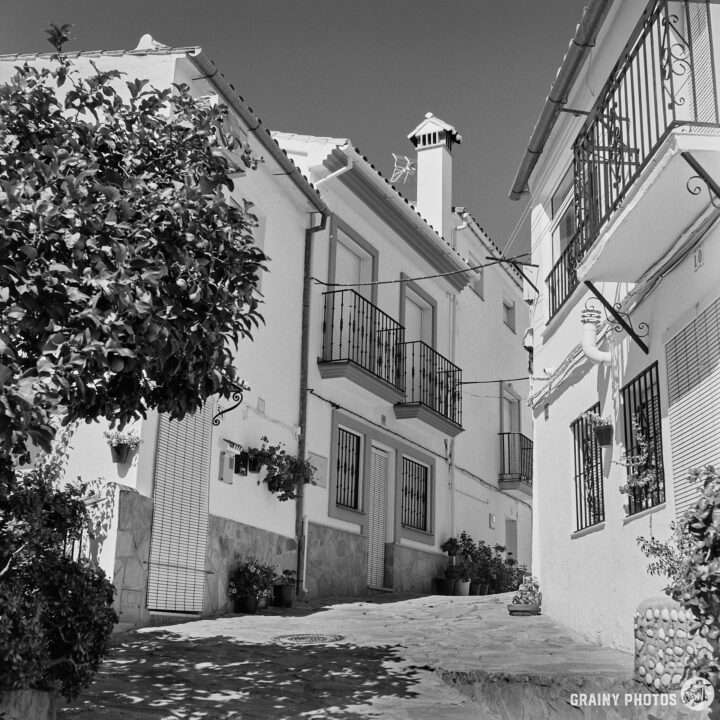 Black and white image of a narrow street lined with whitewashed buildings featuring balconies. Lush greenery and potted plants enhance the scene, creating a quaint and charming atmosphere typical of Mediterranean architecture.